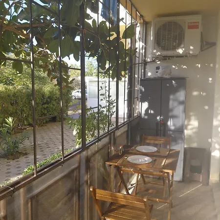 2 In Sunny