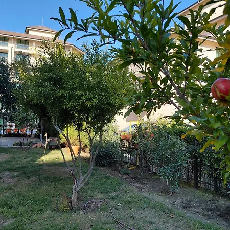Apartment 2 In Sunny Sunny Beach